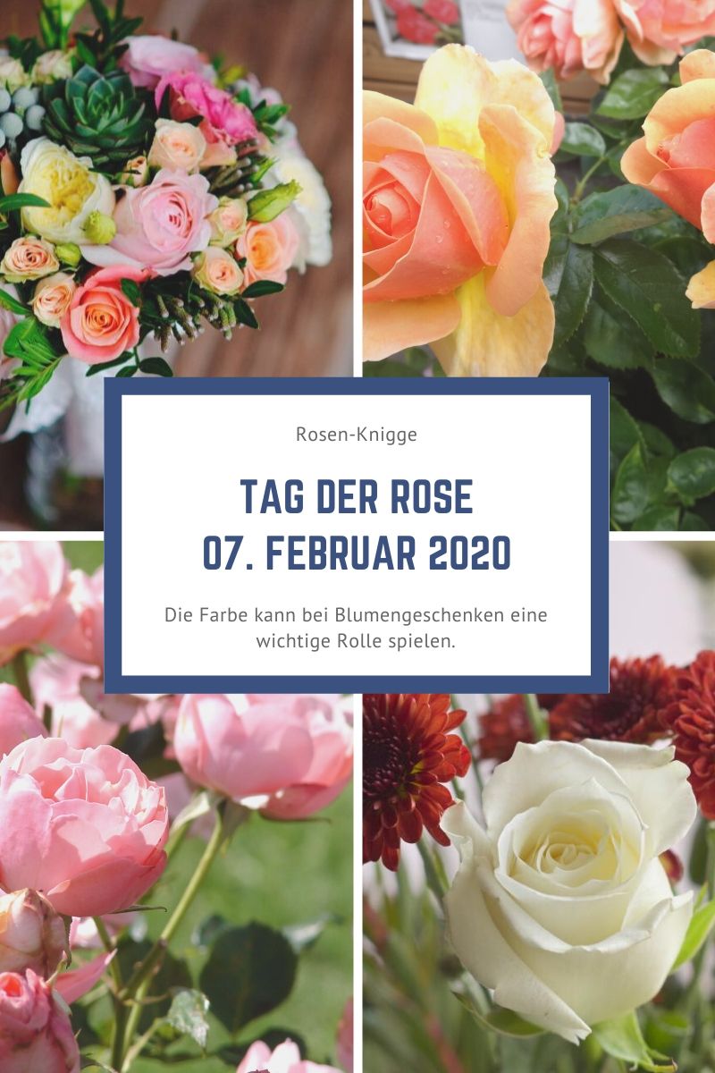 Bloggrafik - Tag der Rose.jpg
